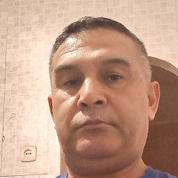 �����, ������, 51 ���