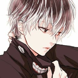 ����, ������ ��������, 23 ����