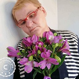 �����, �����, 55 ���