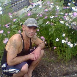 �����, ����, 37 ���