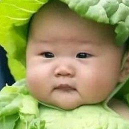 Pierre, �����������, 37 ���