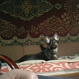 ���� ������, �������, 46 ��� - ��������� 6 �������� 2023