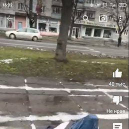 , , 38 