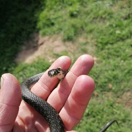 ���� Ivan, �����, 26 ��� - ��������� 22 �������� 2023