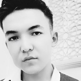 Bibars, �������, 24 ����