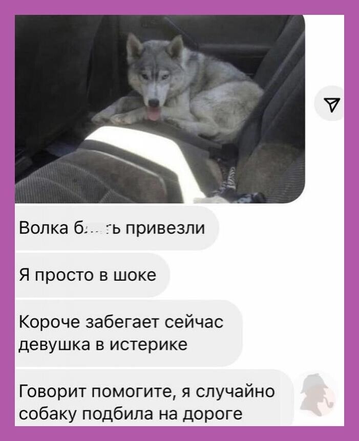 ***Victoria Viktorovna*** - 19  2023  16:14