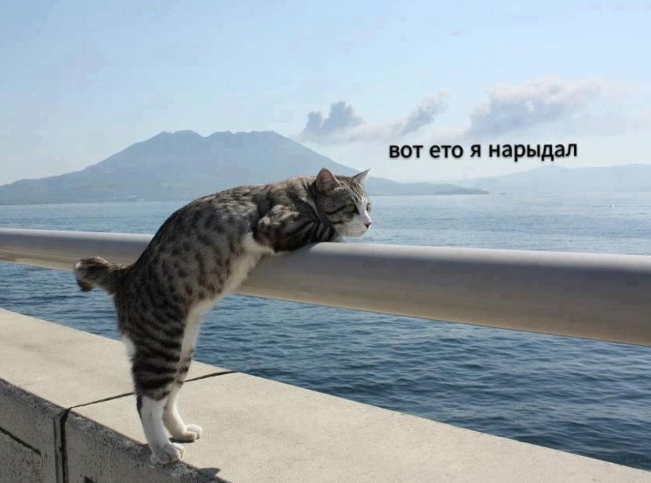    - 20  2023  11:28