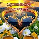  , , 46  -  8  2023
