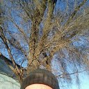 ���� ����������, ������, 43 ���� - ��������� 3 ����� 2023