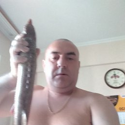 , , 48 