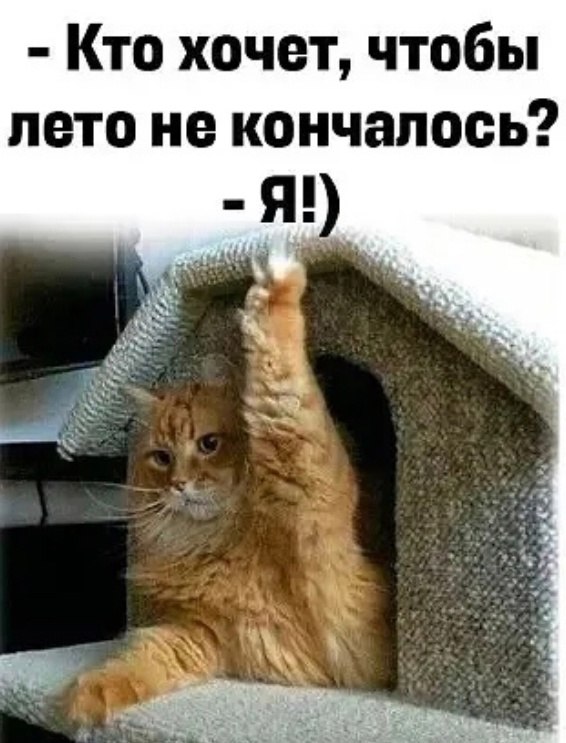   - 23  2023  18:57