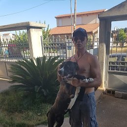 Dimitrios, ������, 49 ���