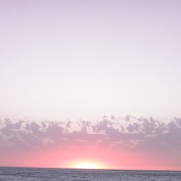 ���� Tangawi, �����, 35 ��� - ��������� 4 ������� 2023