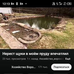 ���� �����, ������, 47 ��� - ��������� 21 ������� 2023