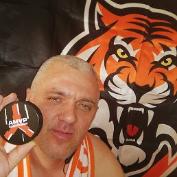 �����, ������, 43 ����