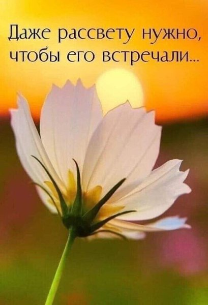 **********************¤ ¤ ¤************************