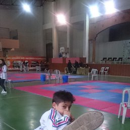  Kamo, , 53  -  22  2023