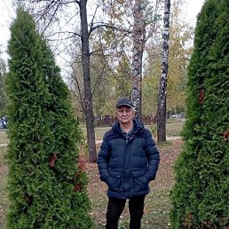 �����, ������, 65 ���