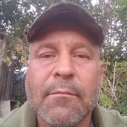 �����, ������, 37 ���