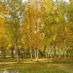 Natali, �������������, 59 ���