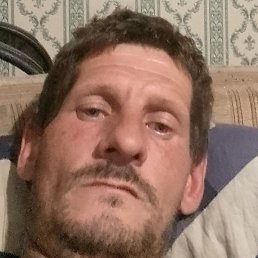 ����, ���������, 41 ���