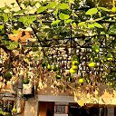 ���� ����, ����� - ��������� 29 �������� 2023 � ������ ���������� ������