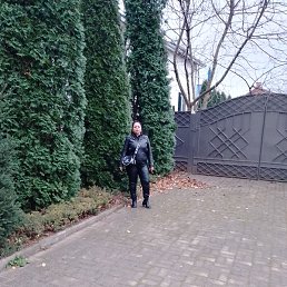 �����, ���������, 48 ���