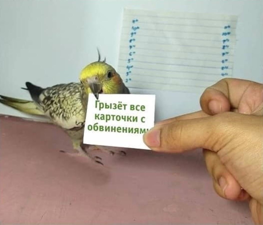 ,   ,   ,    5  - 4