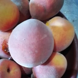 ���, ������, 35 ���