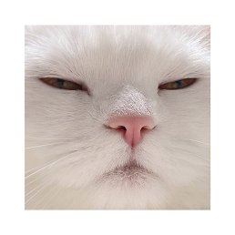 ���� ����, ����, 41 ��� - ��������� 8 ��� 2023