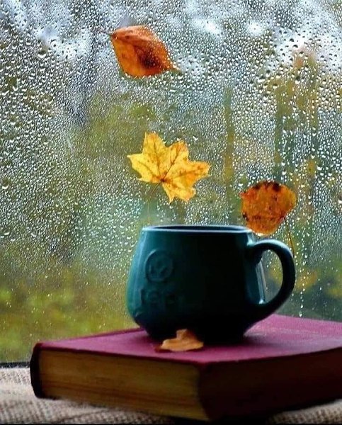   , ,   ! ,   .      ...