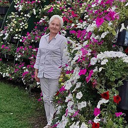 �����, ������, 65 ���