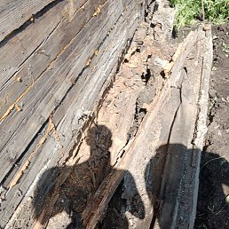 ���� ������, ������, 53 ���� - ��������� 24 ��� 2023