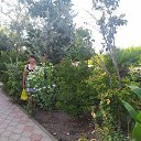 ���� �������, ������������, 63 ���� - ��������� 25 ������� 2023