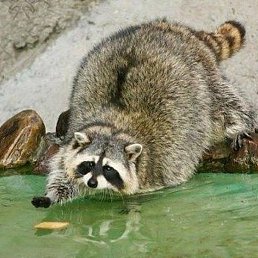 �., �����, 49 ���