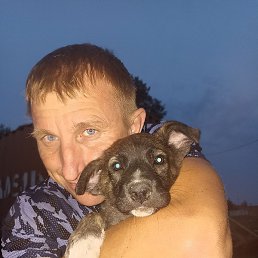 �������, �����������, 42 ����