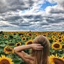 ���� ���������, ������, 44 ���� - ��������� 27 ���� 2023