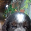 ���� ������, �����������, 61 ��� - ��������� 3 ����� 2023 � ������ ���� ����������