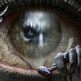 �������, ���������, 41 ���