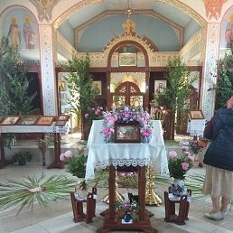 ������, ���������, 55 ���