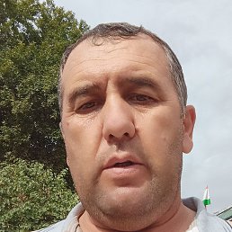 ������, �����-���������, 42 ����