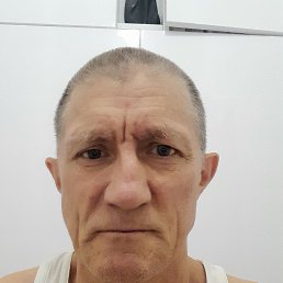 , 56, 