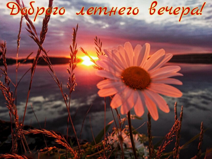 *"*"*"*"*"*"*"*"*"*"*