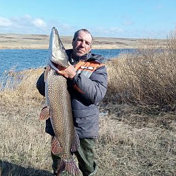 ������, ������, 47 ���