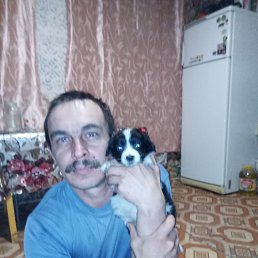 ���� ������, ���������, 43 ���� - ��������� 11 ���� 2023