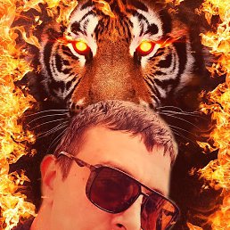 ����, ������, 41 ���