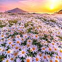 ���� �������, �������, 42 ���� - ��������� 31 ���� 2023