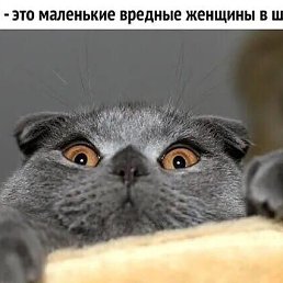 ���� �����, �����, 48 ��� - ��������� 23 ���� 2023