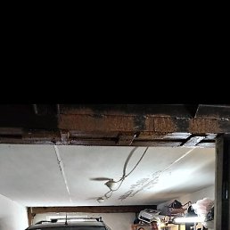 �����, ������, 52 ����