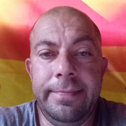 ����, �������, 46 ���